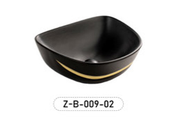 Z-B-009
