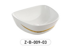 Z-B-009